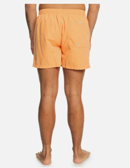 BAÑADOR QUIKSILVER BEHINDWAVE HOMBRE - Image 2