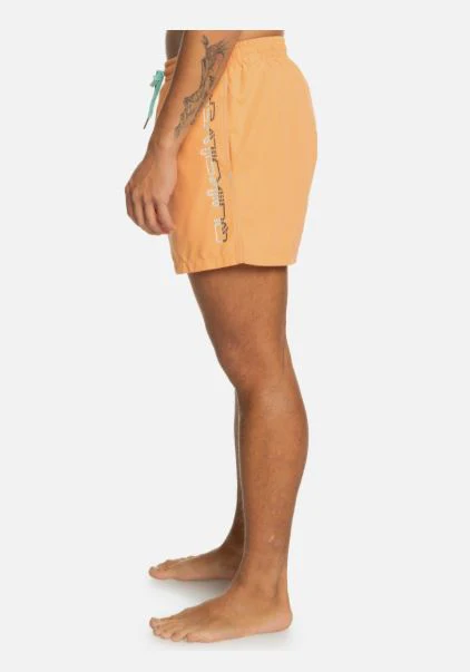 BAÑADOR QUIKSILVER BEHINDWAVE HOMBRE - Image 3