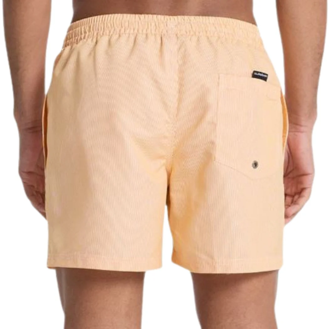 BAÑADOR QUIKSILVER DELUXE 15 HOMBRE - Image 2