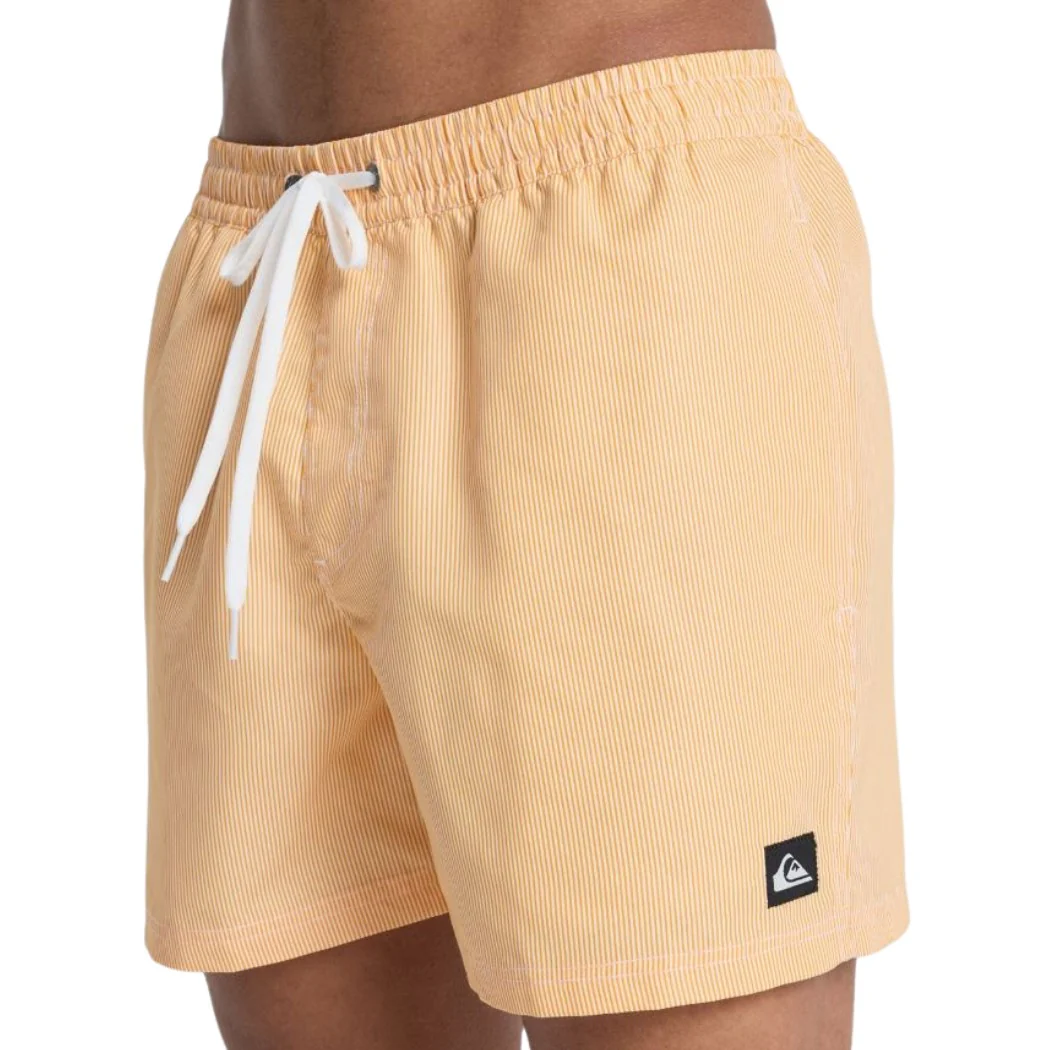 BAÑADOR QUIKSILVER DELUXE 15 HOMBRE - Image 3