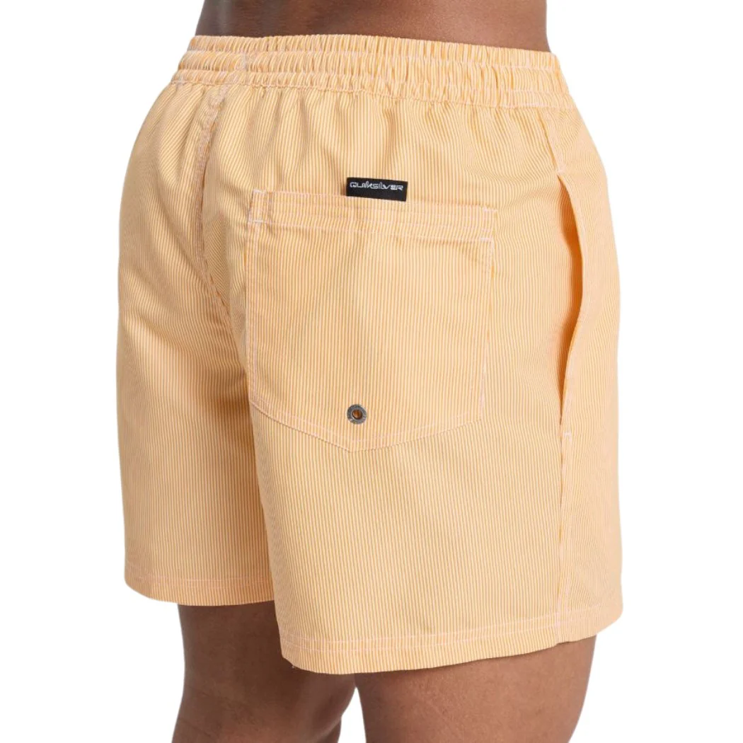 BAÑADOR QUIKSILVER DELUXE 15 HOMBRE - Image 4