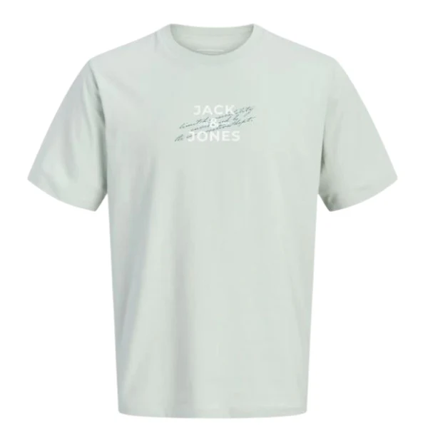 CAMISETA JACK&JONES JCOETERNA JUNIOR