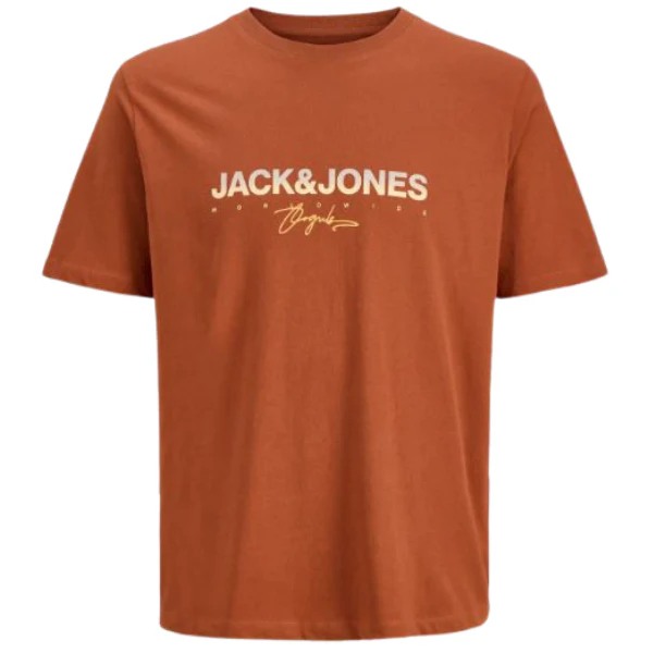 CAMISETA JACK&JONES JORCANGGU JUNIOR - Image 3