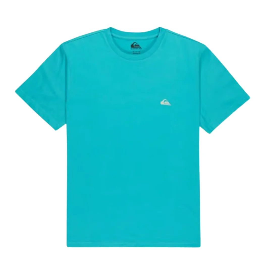CAMISETA QUIKSILVER BASICSCREENSSYM HOMBRE