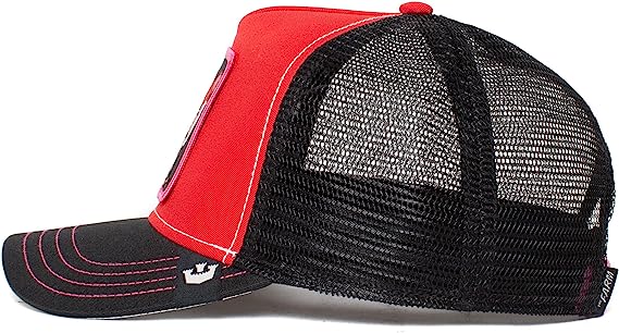 GORRA FOX TRIP GOORIN UNISEX - Image 3