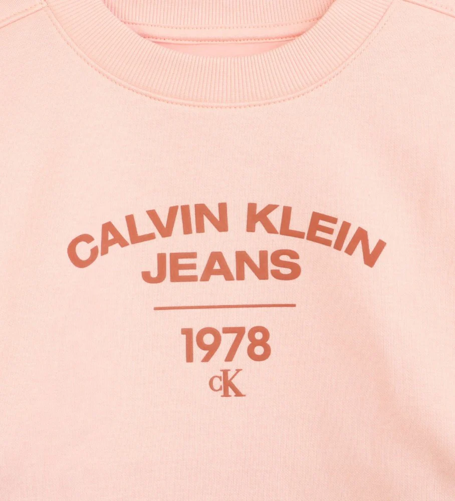 JERSEY CALVIN KLEIN VARSITY LOGO MUJER - Image 3